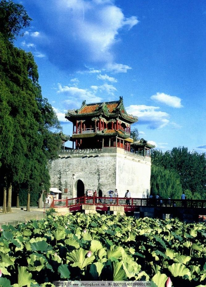 文昌阁前荷花池 北京颐和园 颐和园 风景 风景名胜 风景区 旅游风景