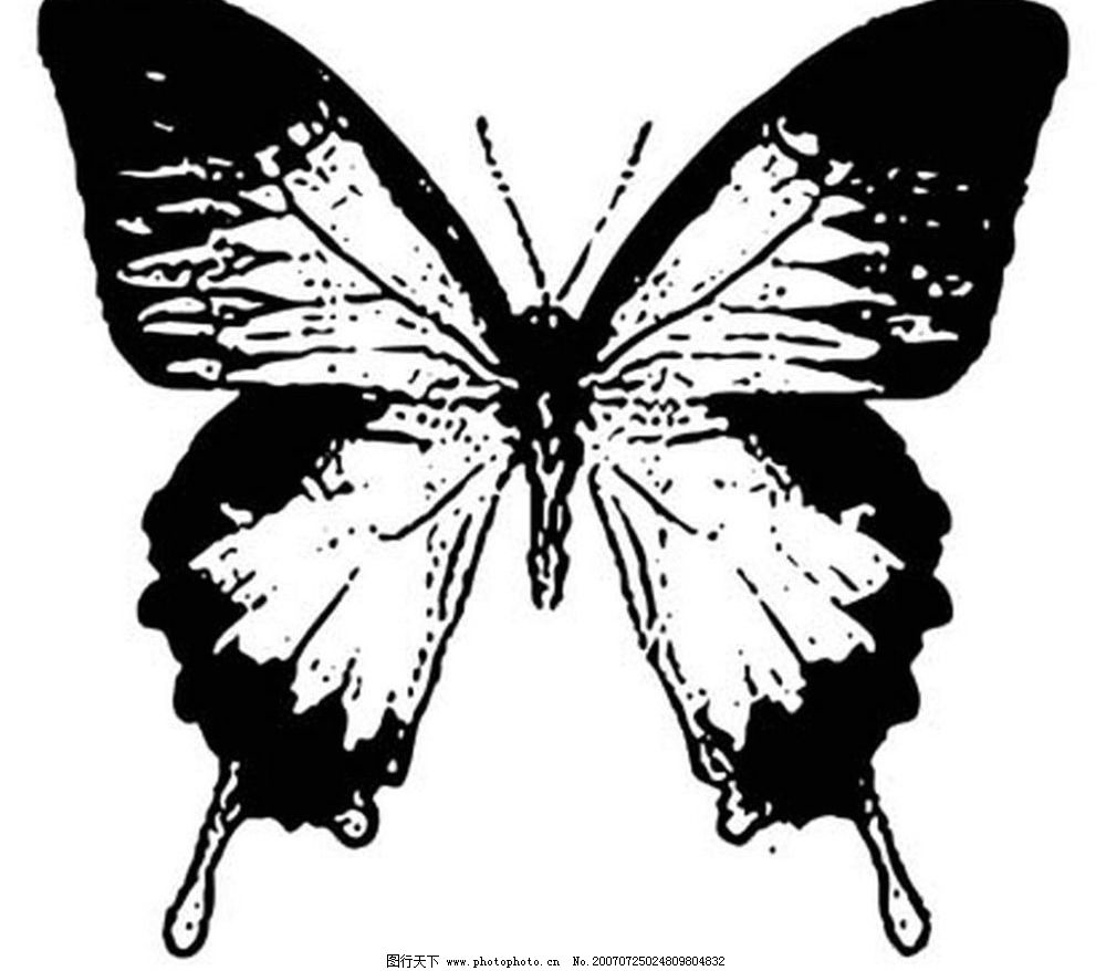 蝴蝶矢量图 黑白昆虫 黑白矢量图 黑白素材 黑白画 黑白图 黑白昆虫矢_皮皮网 蝴蝶矢量图 黑白昆虫 黑白矢量图 黑白素材 黑白画 黑白图 黑白昆虫矢