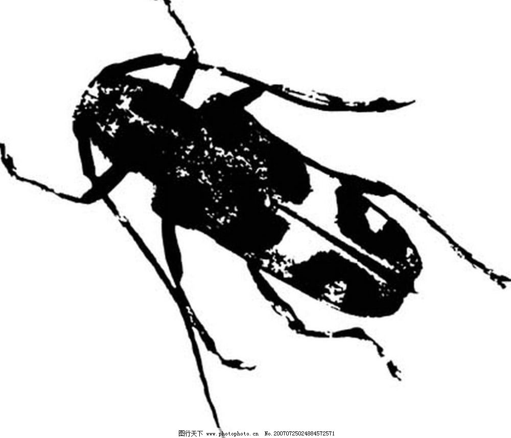 天牛图库|天牛3d红五图库|天牛3d图库红五图库