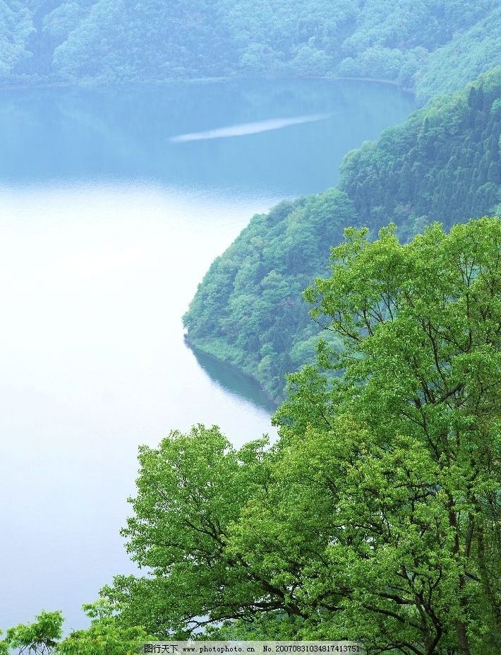 青山湖泊 湖泊 水 树林 树木 树 摄影 自然景观 自然风景 湖泊图片