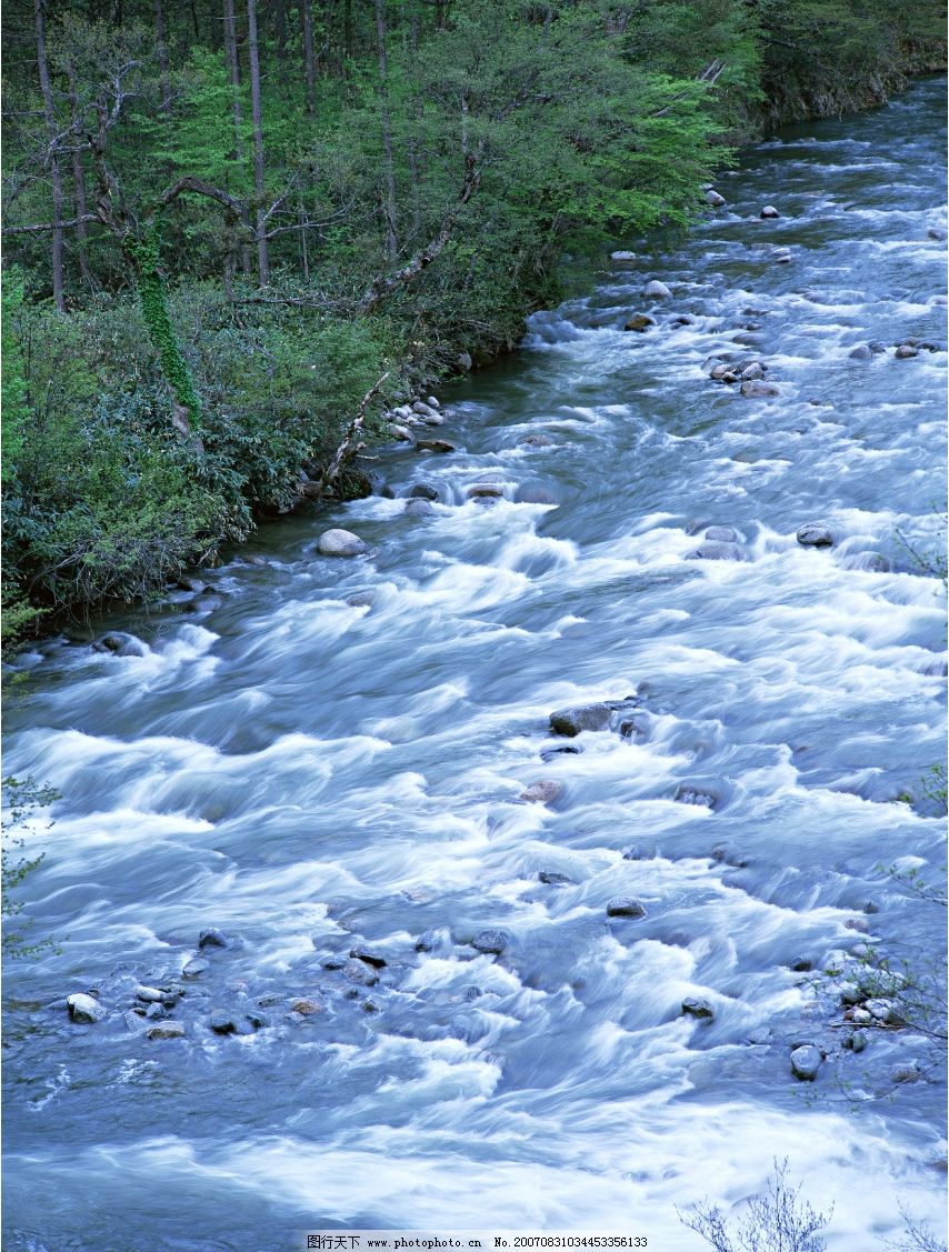 流水 小溪流水 流水图片 树林 树木 树 摄影图 自然景观 山水风景